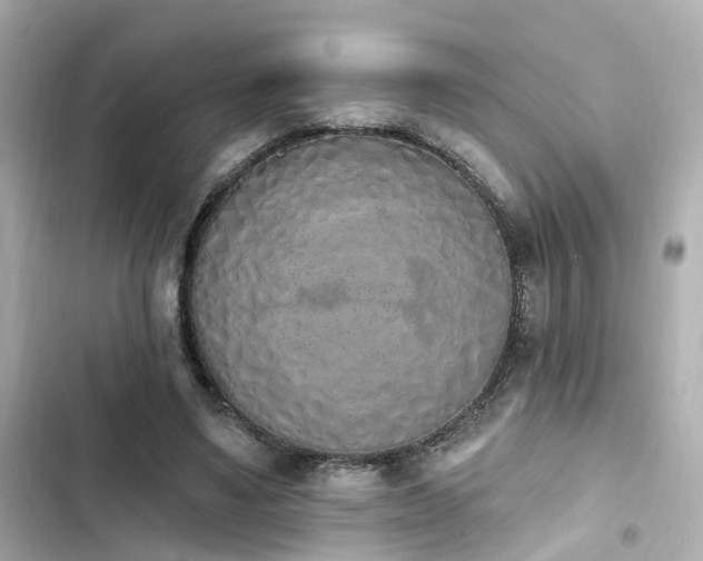 X0000103930491200809191354