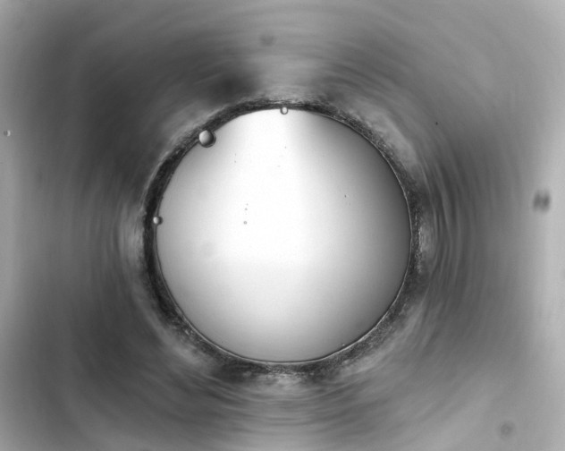 X0000103930492200809191354
