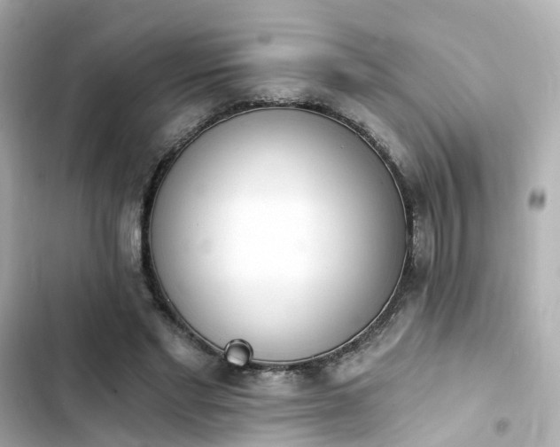 X0000103930493200809191354