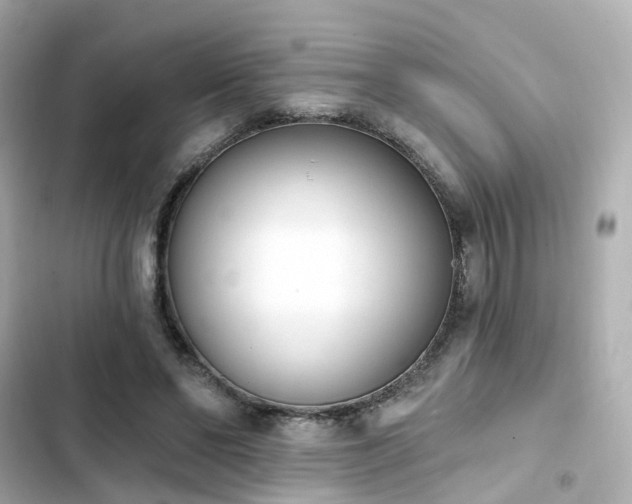 X0000103930494200809191354