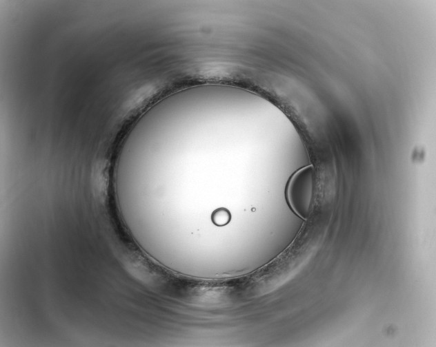X0000103930495200809191354