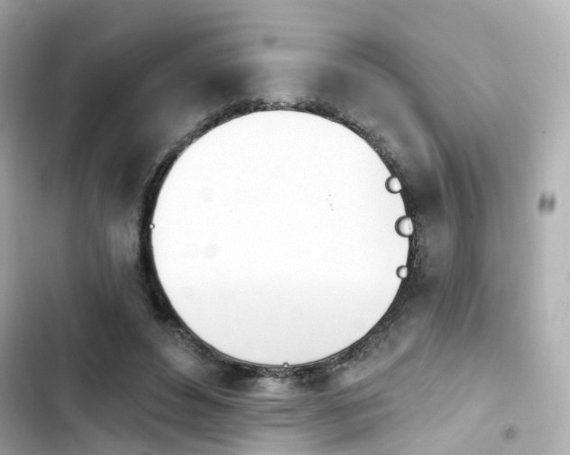 X0000103930496200809191354