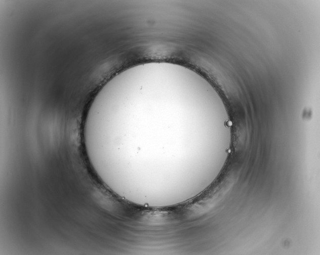 X0000103930497200809191354
