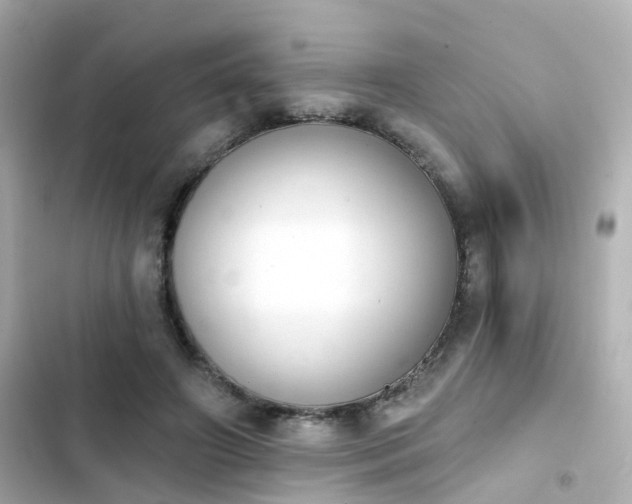 X0000103930498200809191354