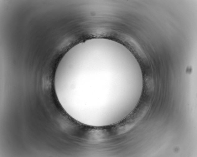 X0000103930499200809191354