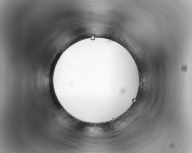 X0000103930500200809191354