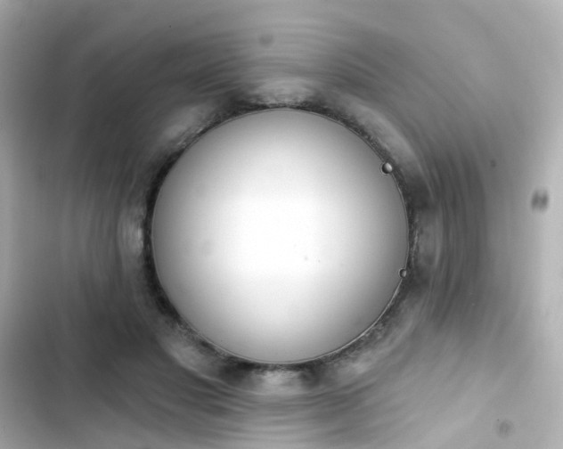 X0000103930501200809191354