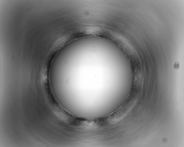 X0000103930502200809191354