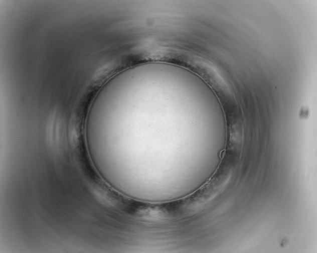 X0000103930503200809191354