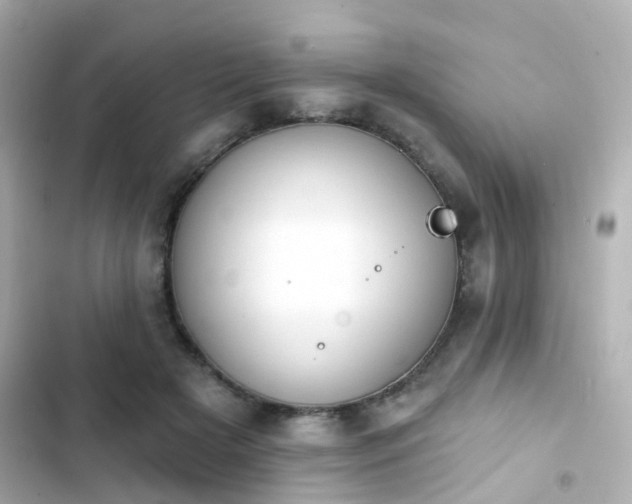 X0000103930505200809191354