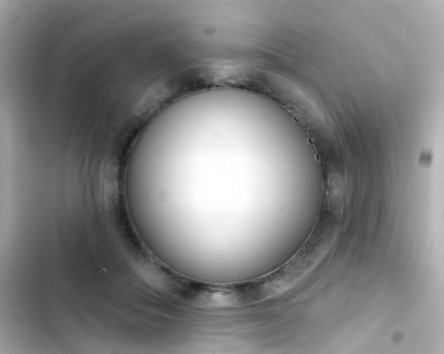 X0000103930506200809191354