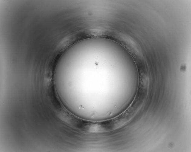 X0000103930507200809191354