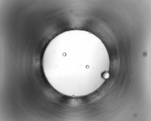 X0000103930508200809191354