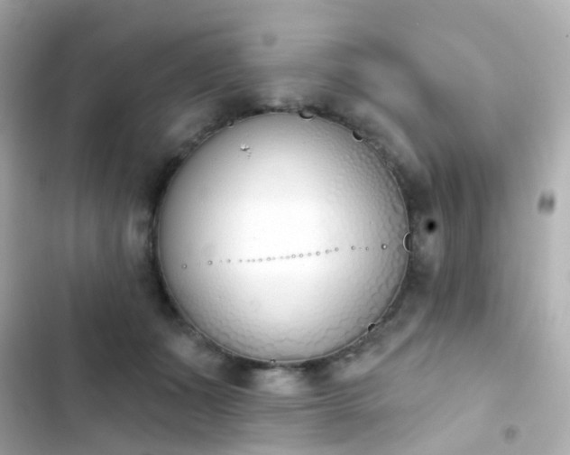 X0000103930511200809191354