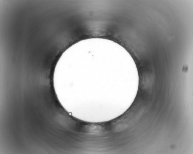 X0000103930512200809191354