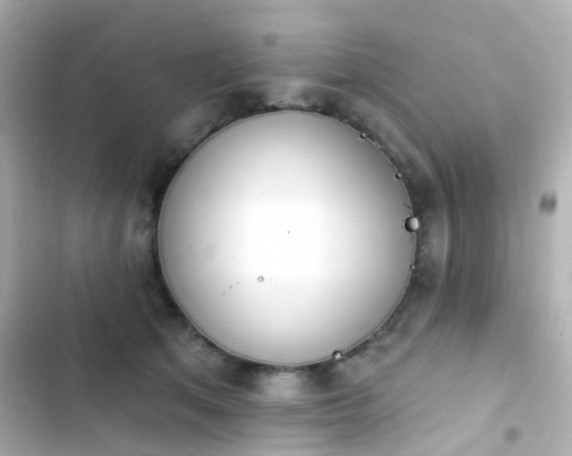 X0000103930513200809191354