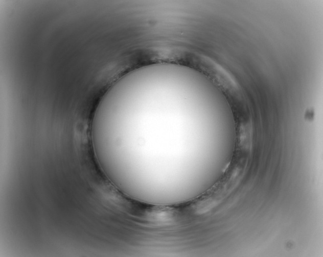 X0000103930514200809191354