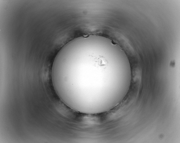 X0000103930515200809191354