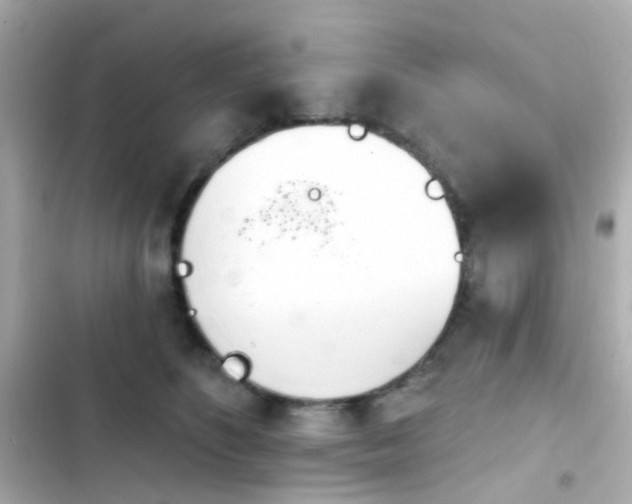X0000103930516200809191354