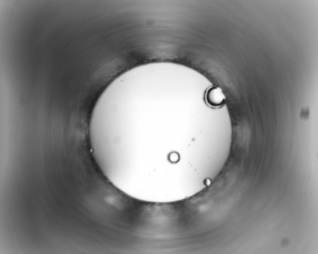 X0000103930517200809191354