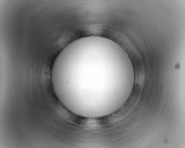 X0000103930518200809191354