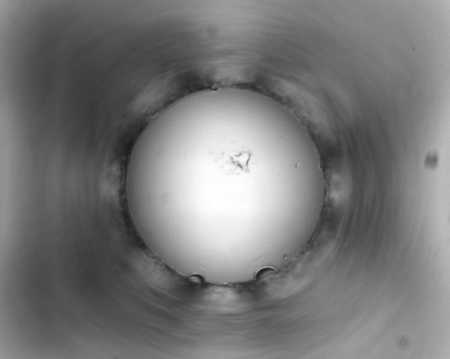 X0000103930519200809191354