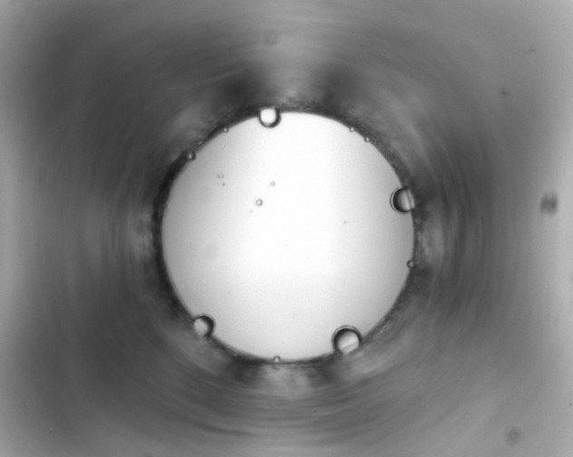 X0000103930520200809191354