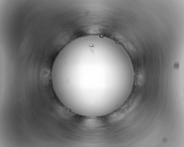 X0000103930521200809191354