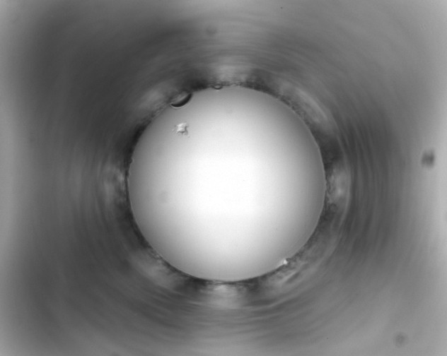 X0000103930522200809191354