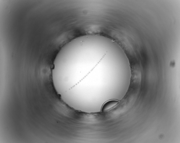 X0000103930523200809191354