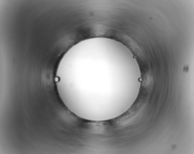 X0000103930524200809191353