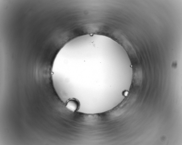 X0000103930525200809191353