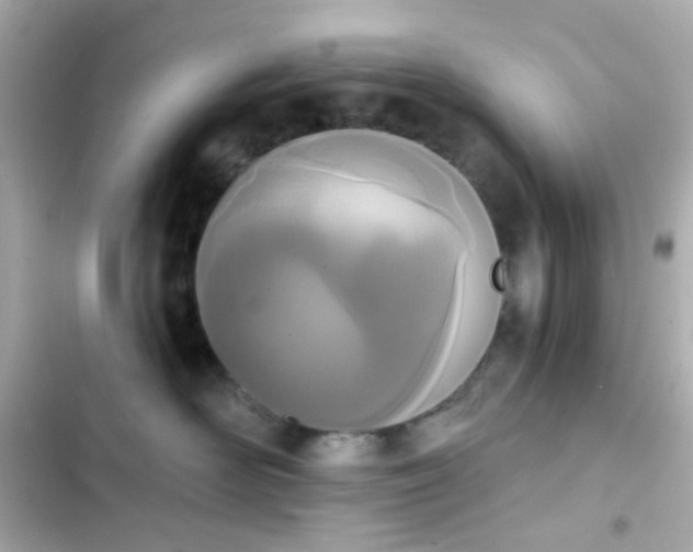X0000103930526200809191353