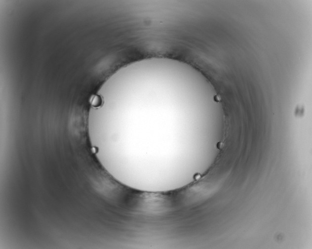 X0000103930528200809191353