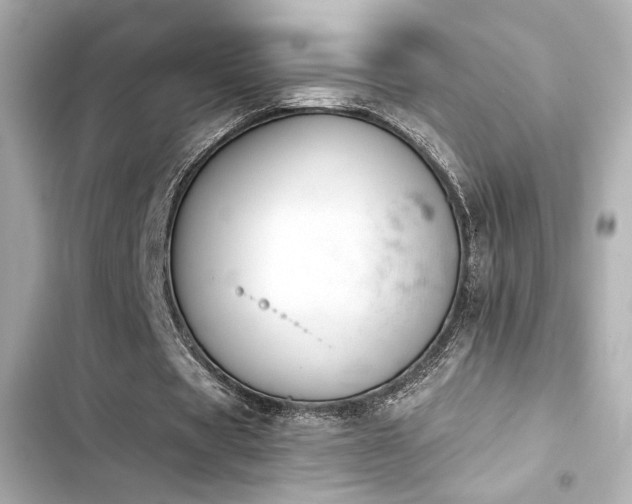 X0000103930529200809191353