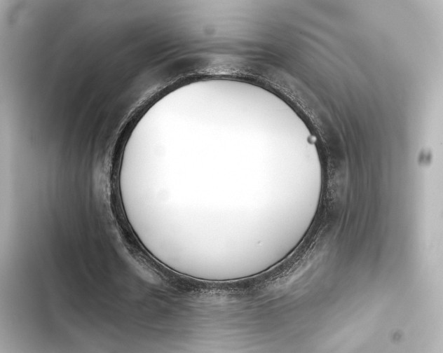 X0000103930530200809191353