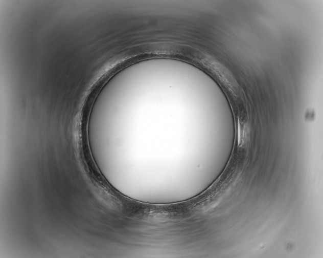 X0000103930531200809191353