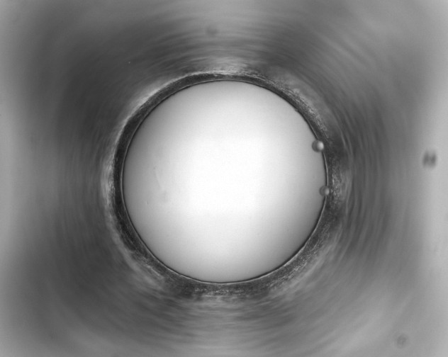 X0000103930532200809191353