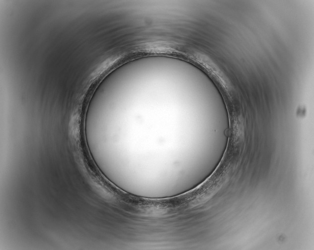 X0000103930533200809191353