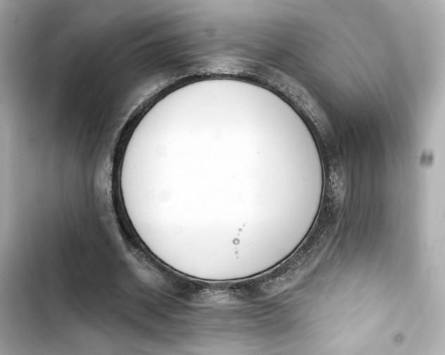 X0000103930534200809191353