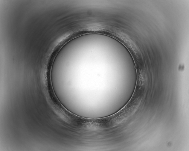 X0000103930535200809191353
