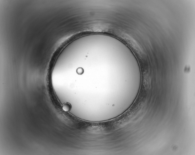 X0000103930536200809191353
