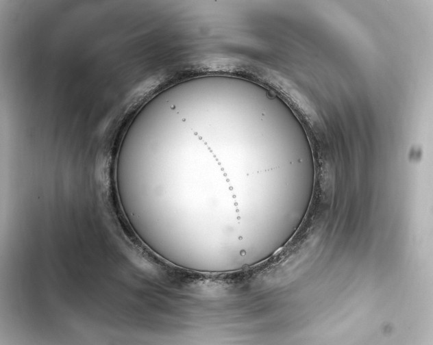 X0000103930537200809191353