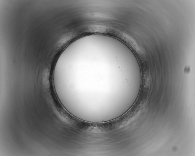 X0000103930538200809191353