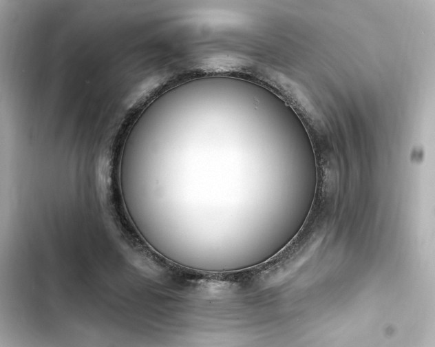 X0000103930539200809191353