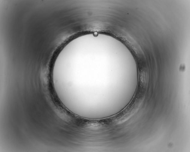 X0000103930540200809191353