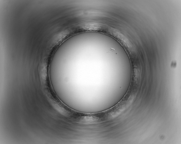 X0000103930541200809191353