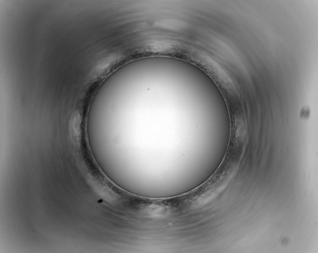 X0000103930542200809191353