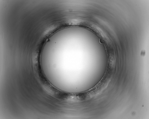 X0000103930543200809191353