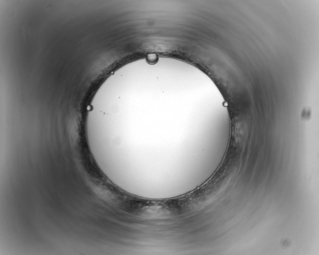 X0000103930544200809191353